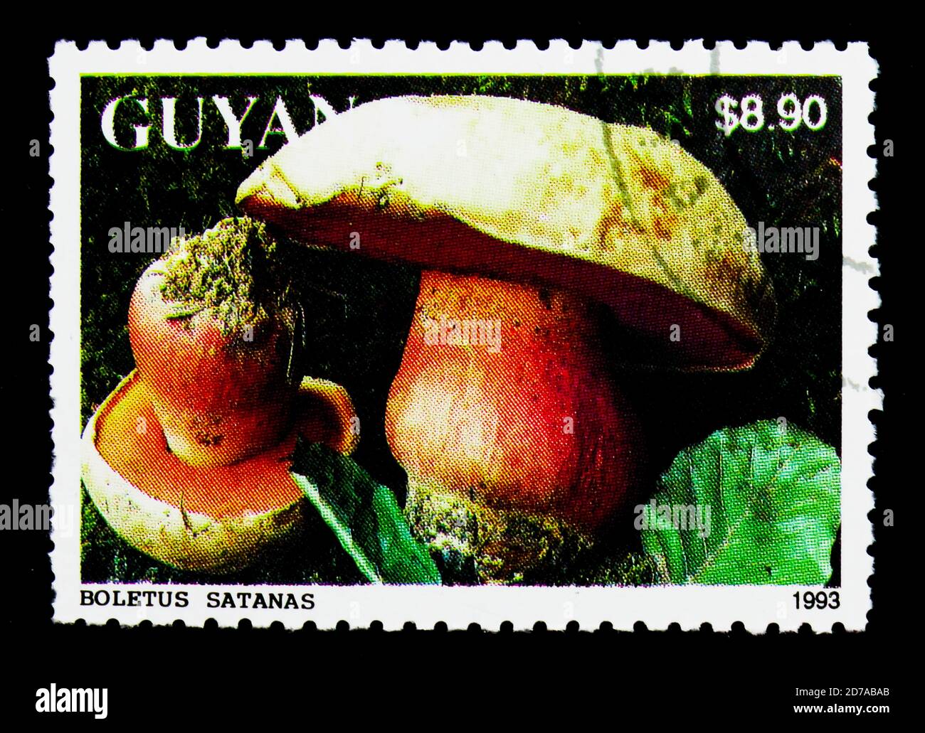 MOSCOW, RUSSIA - NOVEMBER 26, 2017: A stamp printed in Guyana shows Boletus satanas, Mushrooms serie, circa 1993 Stock Photo