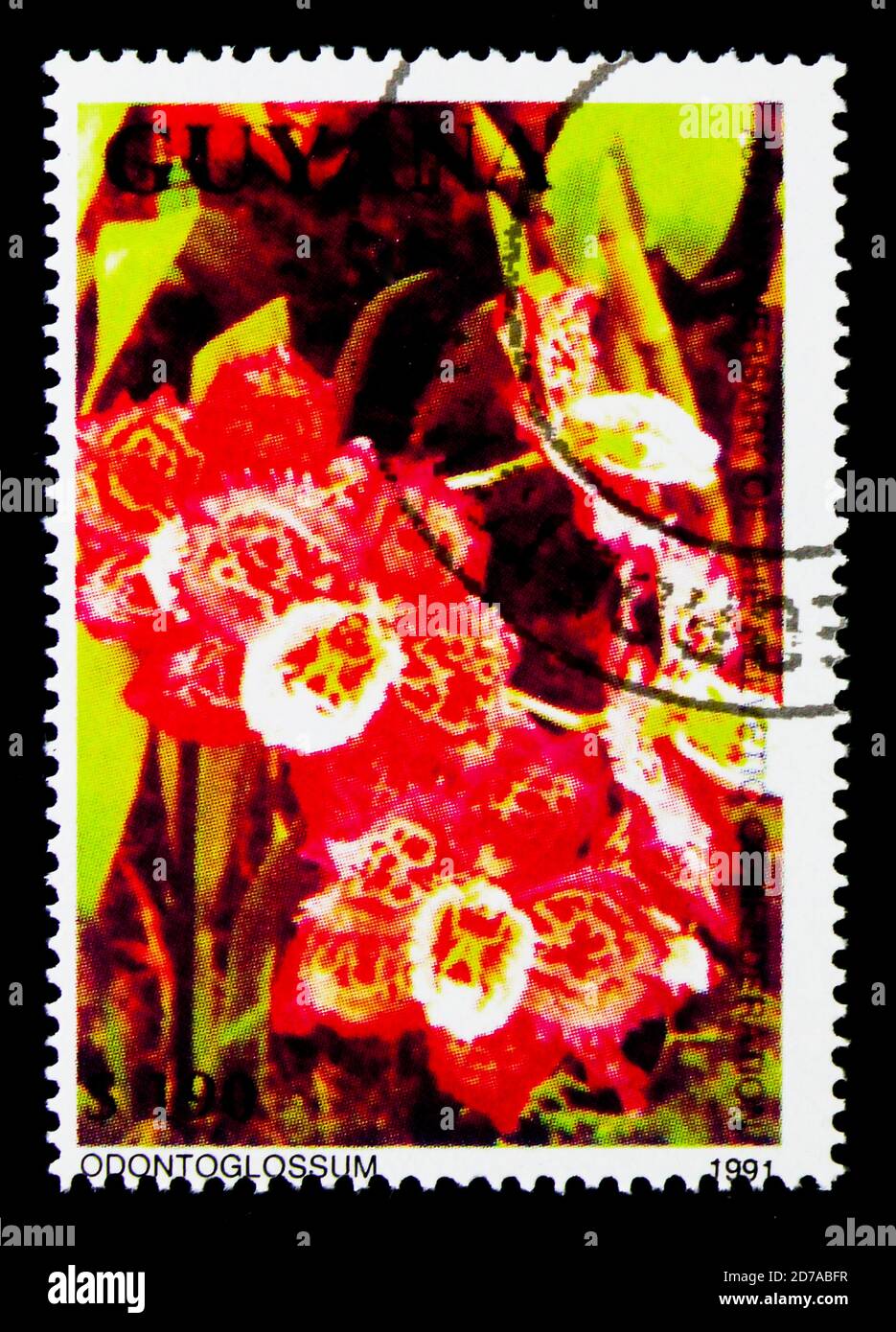 MOSCOW, RUSSIA - NOVEMBER 26, 2017: A stamp printed in Guyana shows Odontoglossum, Orchids serie, circa 1991 Stock Photo