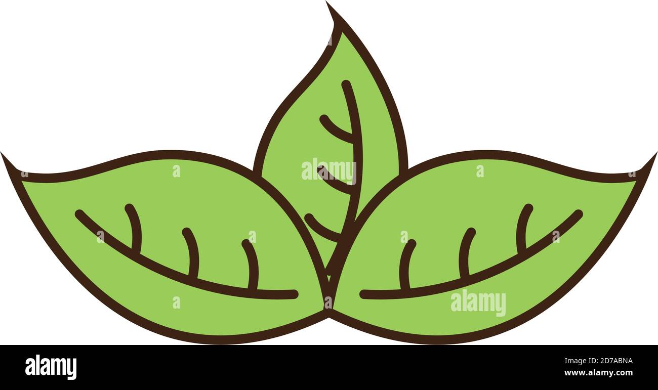 three leaves line and fill style icon vector design Stock Vector Image ...