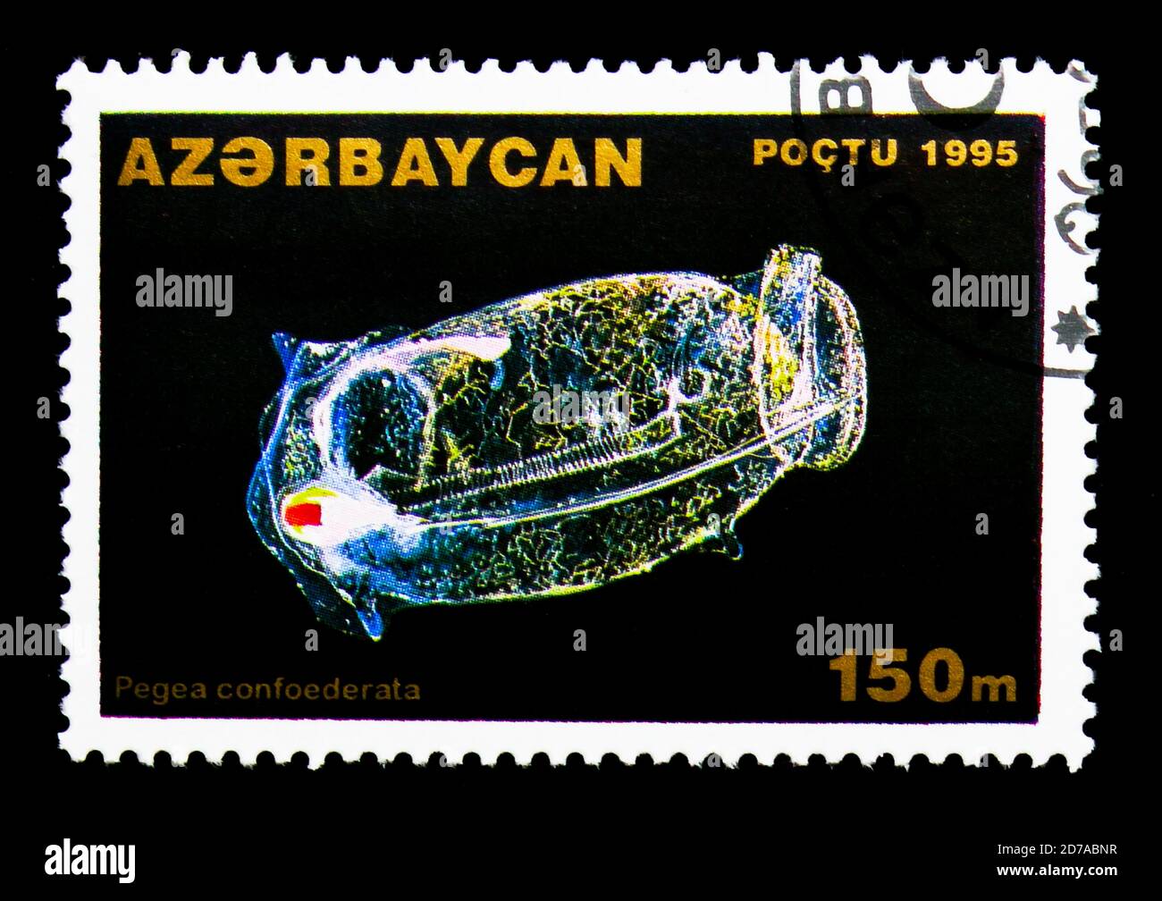 MOSCOW, RUSSIA - NOVEMBER 26, 2017: A stamp printed in Azerbaijan shows Salp Chain (Pegea confoederata), Marine Animals serie, circa 1995 Stock Photo