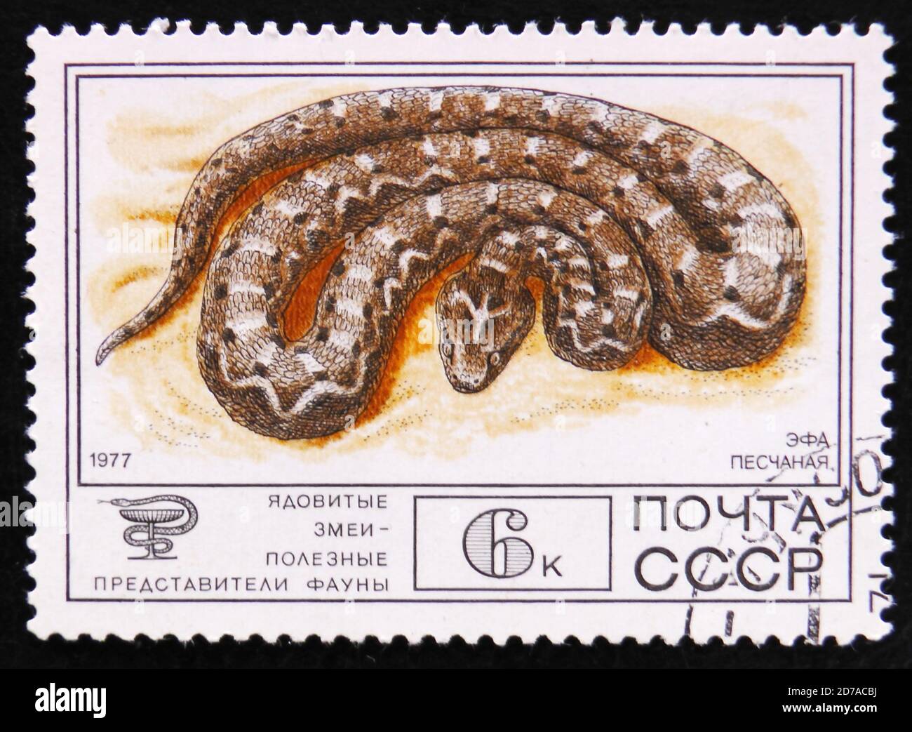 MOSCOW, RUSSIA - APRIL 2, 2017: A post stamp printed in Soviet Union shows Saw-scaled viper, Echis carinatus, circa 1977 Stock Photo