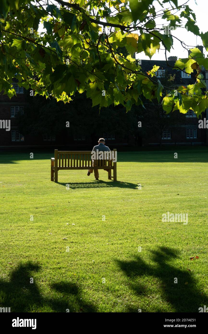 Back view of a man sitting on a bench while reading in the gardens of Emmanuel College Cambridge Stock Photo