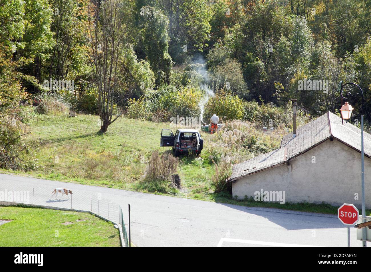 A beekeeper at work takes care of his hives, open door and trunk car in the field, a dog walks in the street in Saint-Martin-sur-la-Chambre Maurienne Stock Photo