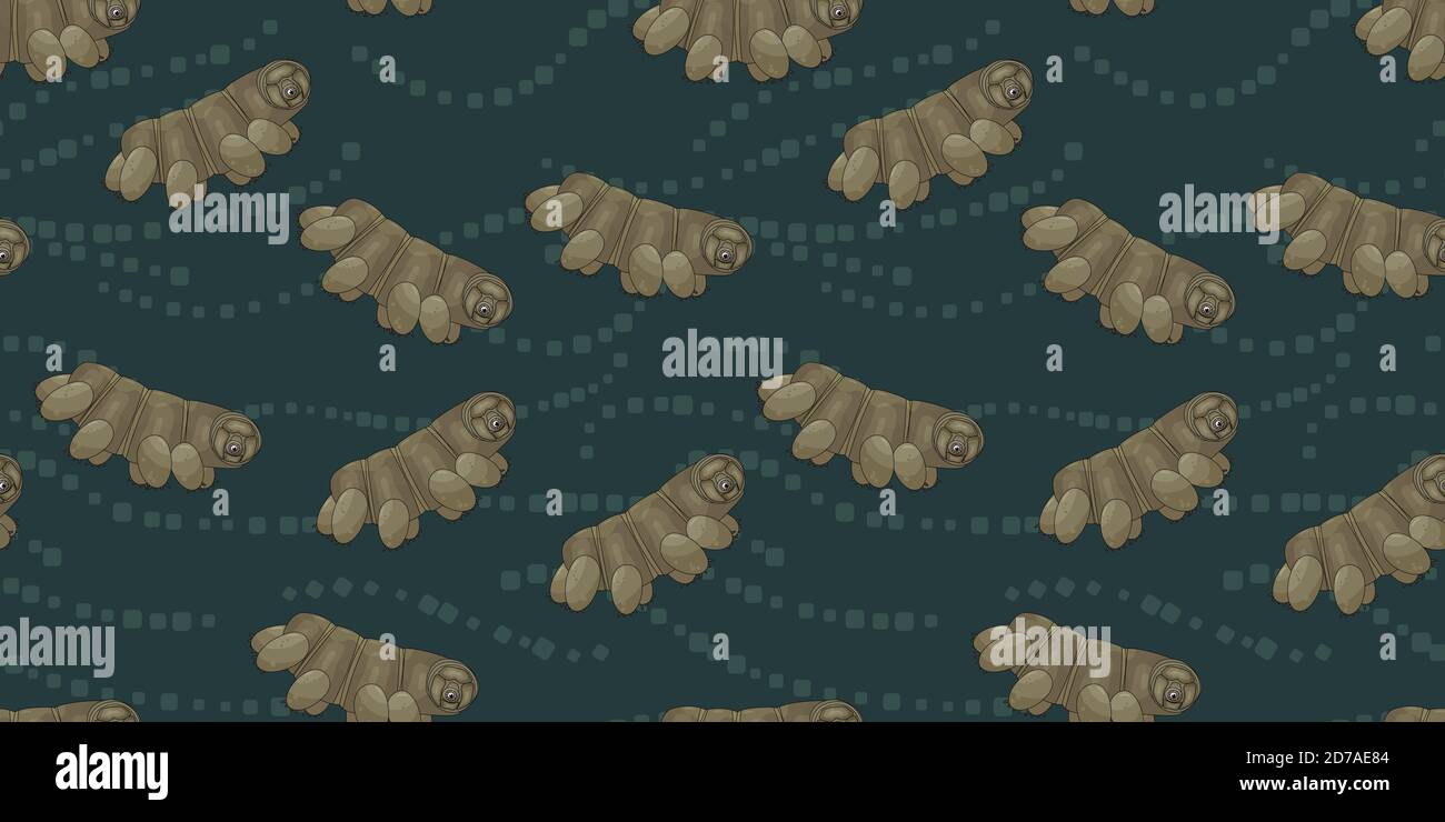 Brown or yellow cute Tardigrade, water bears or moss piglets vector repeat seamless pattern on dark blue background Stock Vector