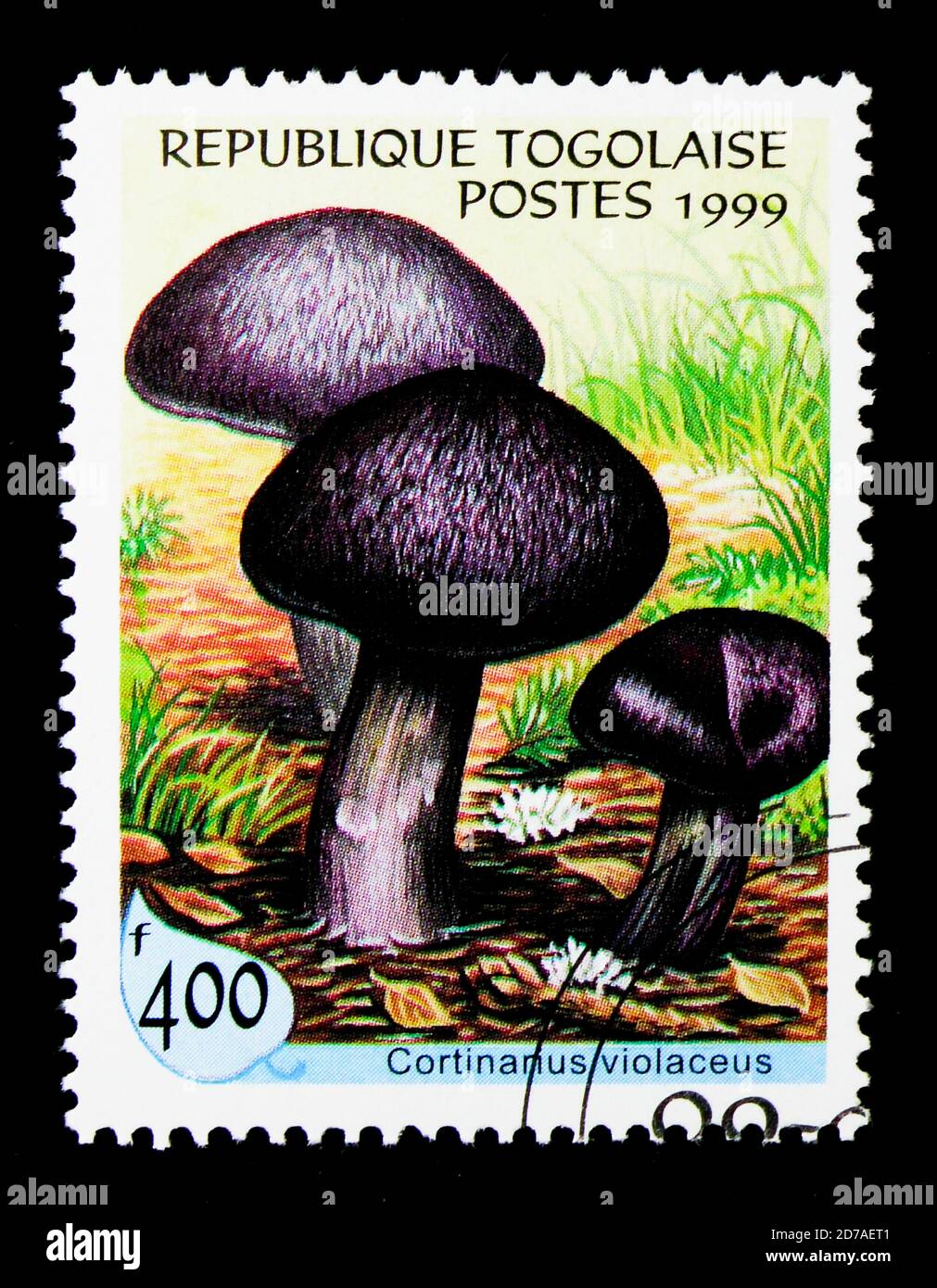 MOSCOW, RUSSIA - NOVEMBER 26, 2017: A stamp printed in Togo shows Cortinarius violaceus, Mushrooms serie, circa 1999 Stock Photo