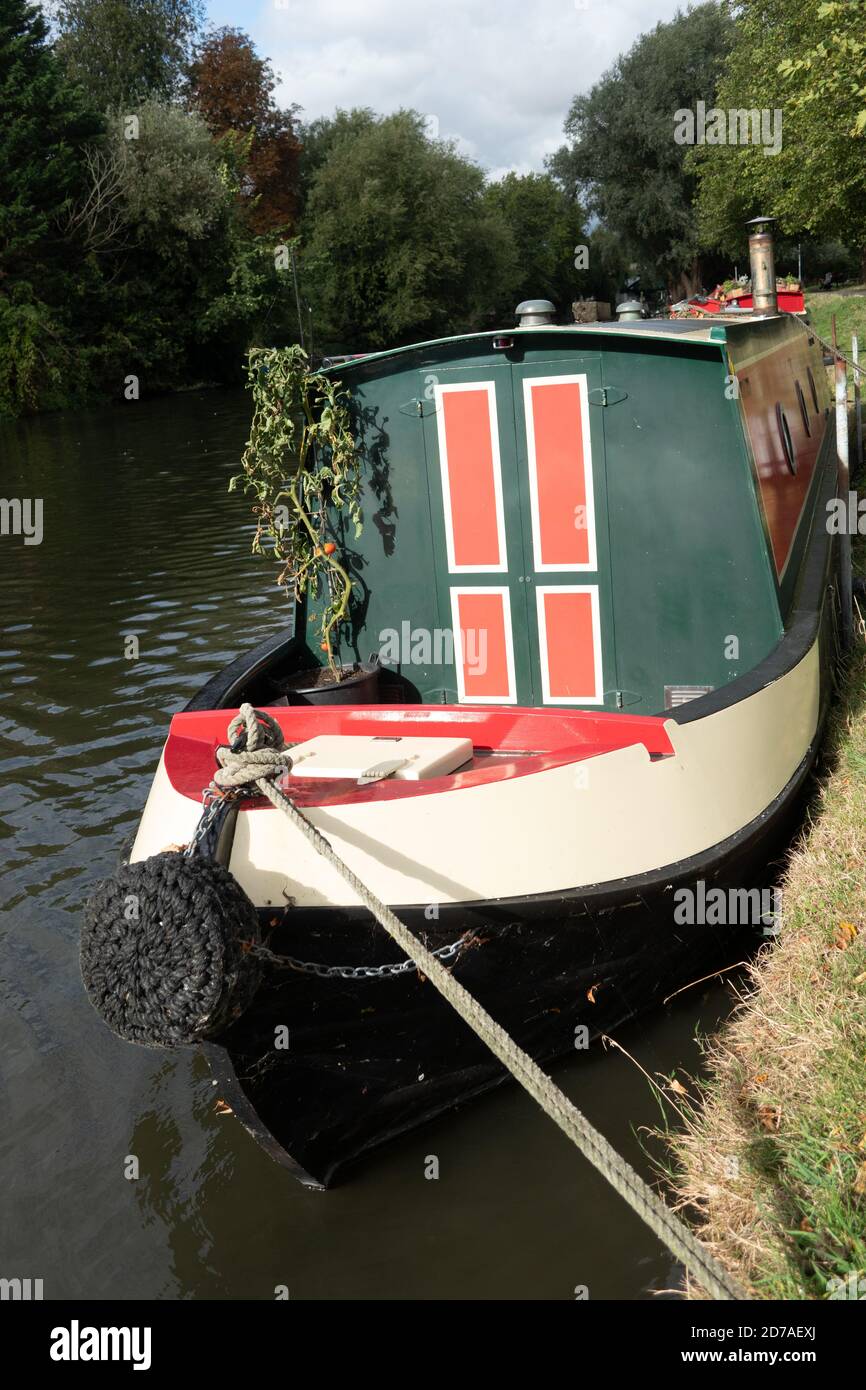 Decorated narrow canal boat with a tomato plant on the River Cam Cambridge Stock Photo
