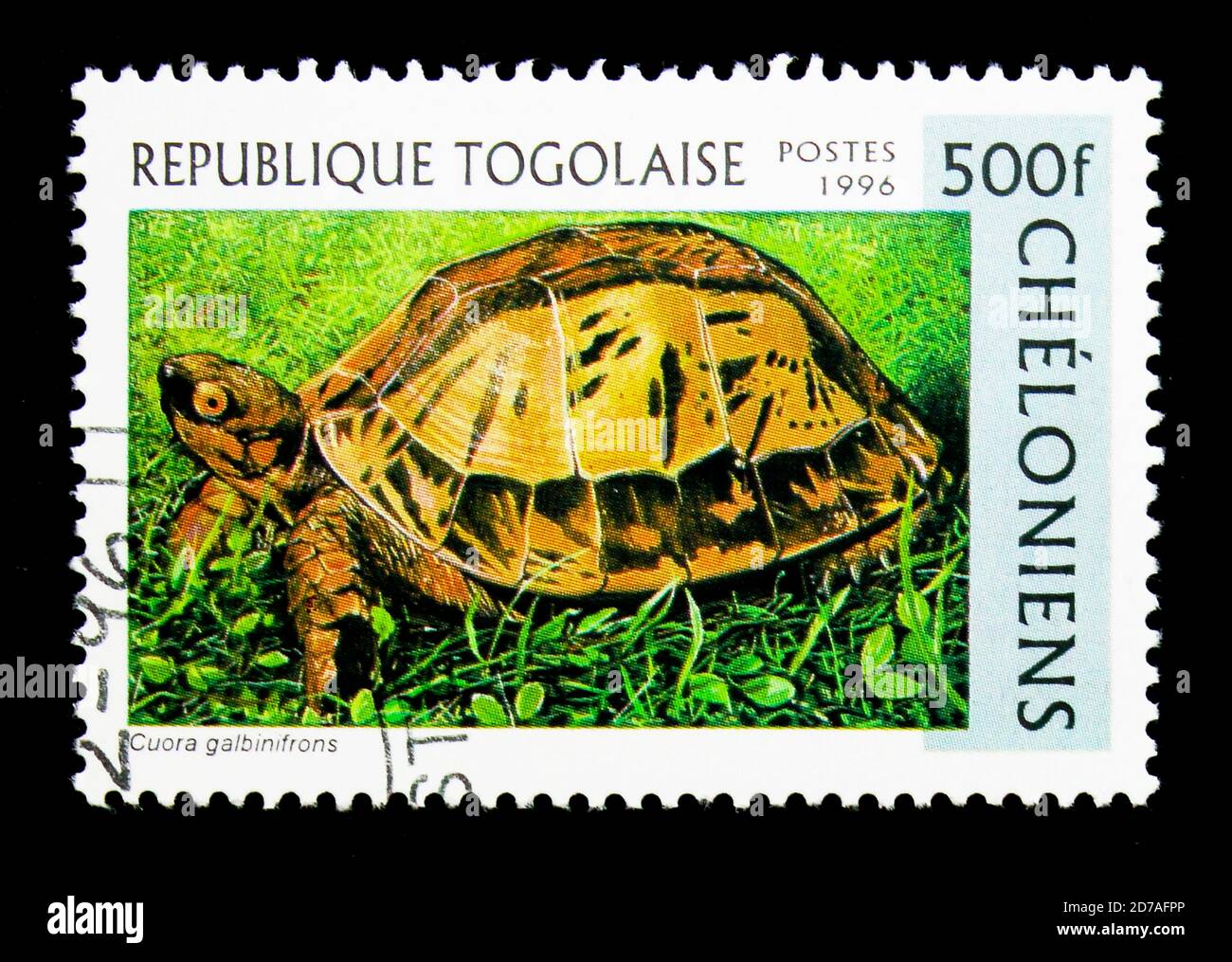 MOSCOW, RUSSIA - NOVEMBER 26, 2017: A stamp printed in Togo shows Vietnamese Box Turtle (Cuora galbinifrons), serie, circa 1996 Stock Photo