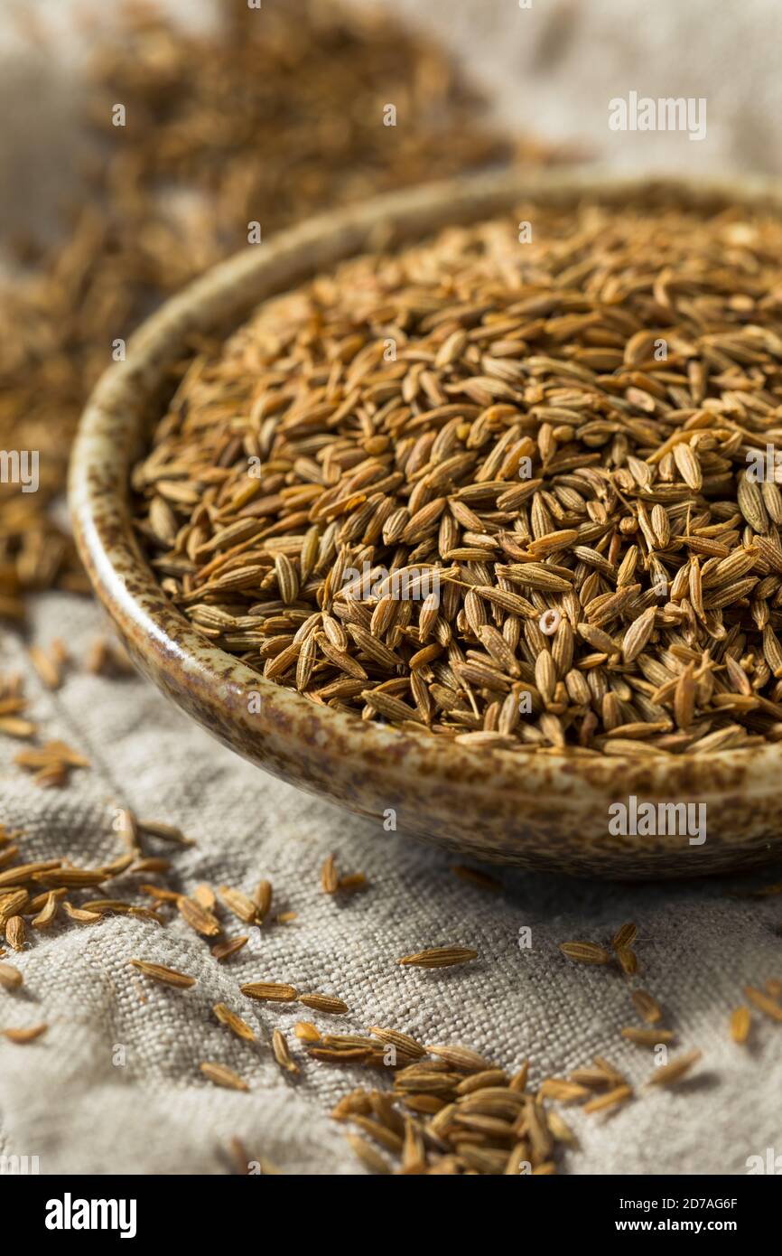 Raw Brown Organic Cumin Seed in a Bowl Stock Photo