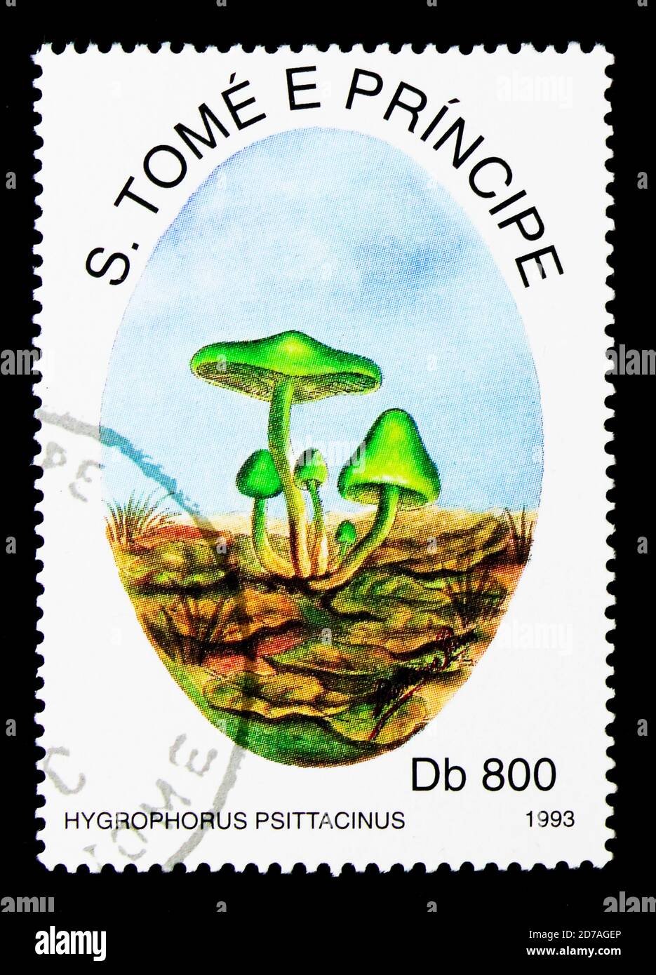 MOSCOW, RUSSIA - NOVEMBER 26, 2017: A stamp printed in Sao Tome and Principe shows Hygrophorus psittacinus, Mushrooms serie, circa 1993 Stock Photo