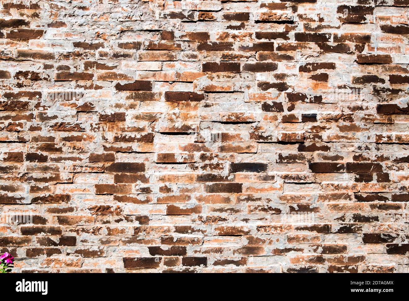 Old brick wall can be used as background image Stock Photo
