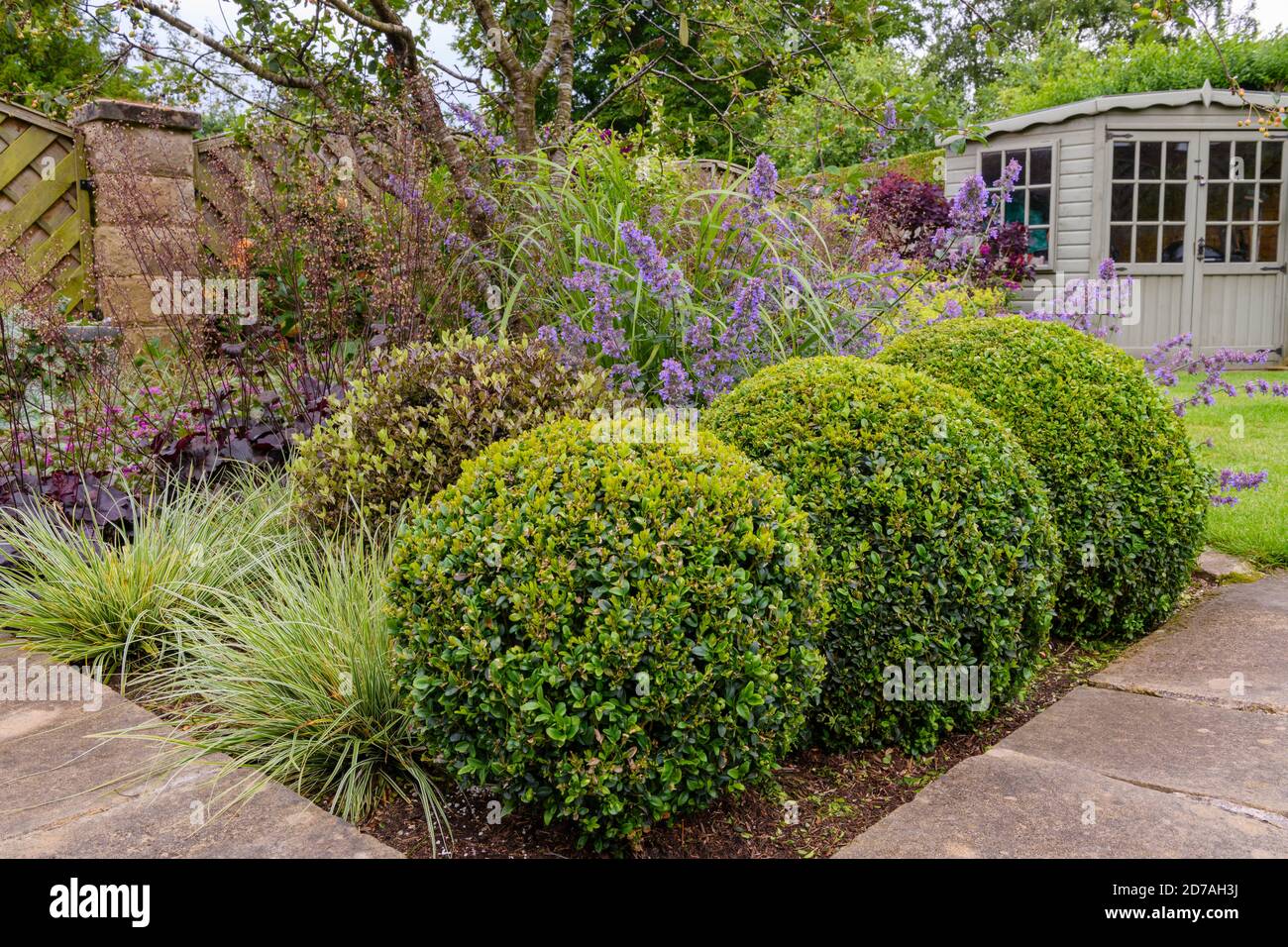 Landscaped private garden (contemporary design, summer flowers, border plants & shrubs