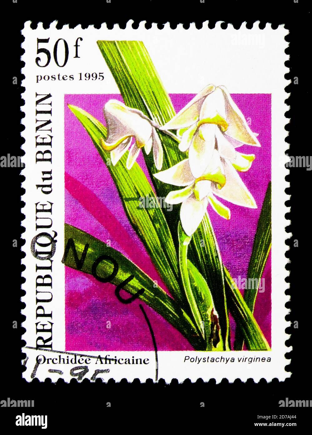 MOSCOW, RUSSIA - NOVEMBER 26, 2017: A stamp printed in Benin shows Polystachya virginea, African Orchids serie, circa 1995 Stock Photo