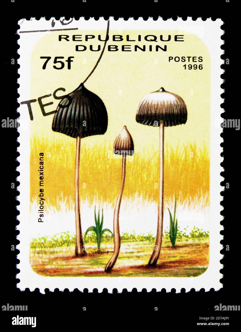 MOSCOW, RUSSIA - NOVEMBER 26, 2017: A stamp printed in Benin shows Psilocybe mexicana, Mushrooms serie, circa 1996 Stock Photo