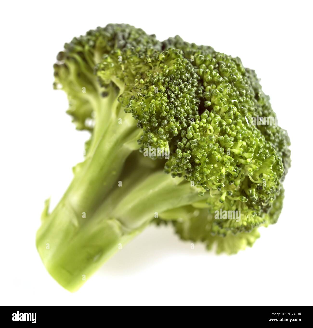 BROCCOLI CABBAGE AGAINST WHITE BACKGROUND Stock Photo