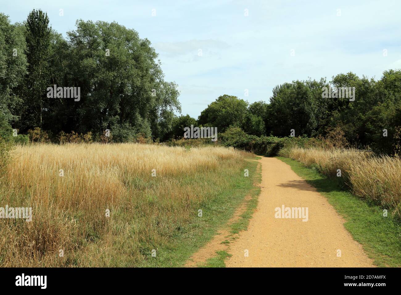 Cycle path alongside Great Stour river between Chartham and Thannington Without, Canterbury, Kent, England, United Kingdom Stock Photo