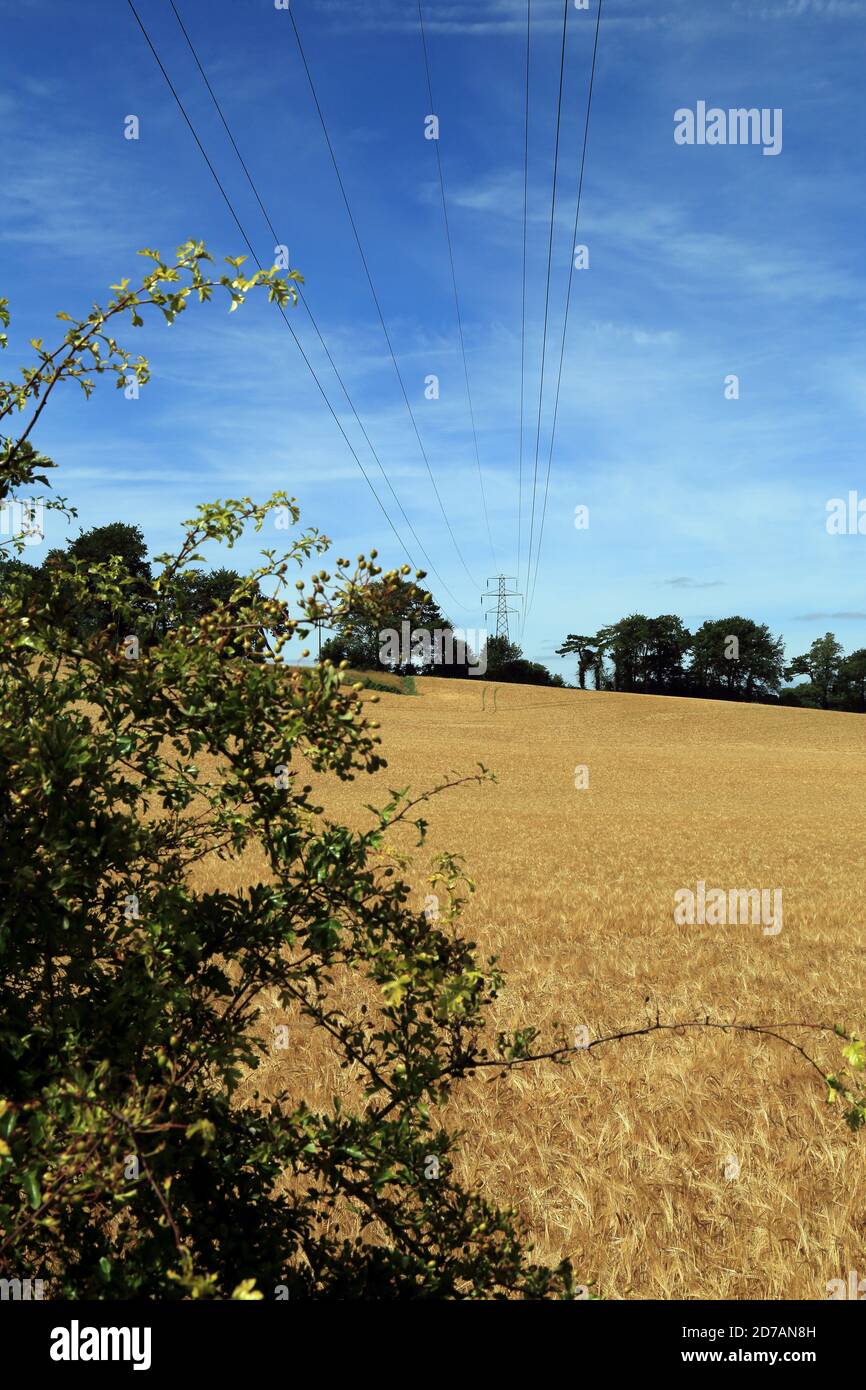 Views across fields towards Chartham from above Cockering Lane, Chartham, Canterbury, Kent, England, United Kingdom Stock Photo
