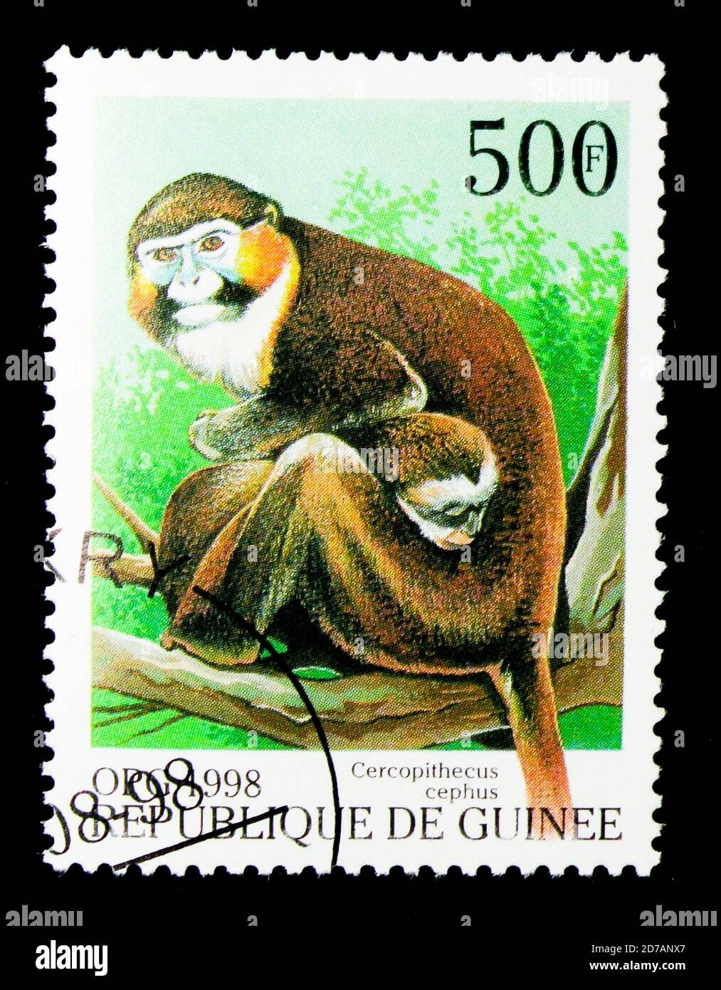 MOSCOW, RUSSIA - NOVEMBER 26, 2017: A stamp printed in Guinea shows Moustached Guenon (Cercopithecus cephus), Monkeys serie, circa 1998 Stock Photo