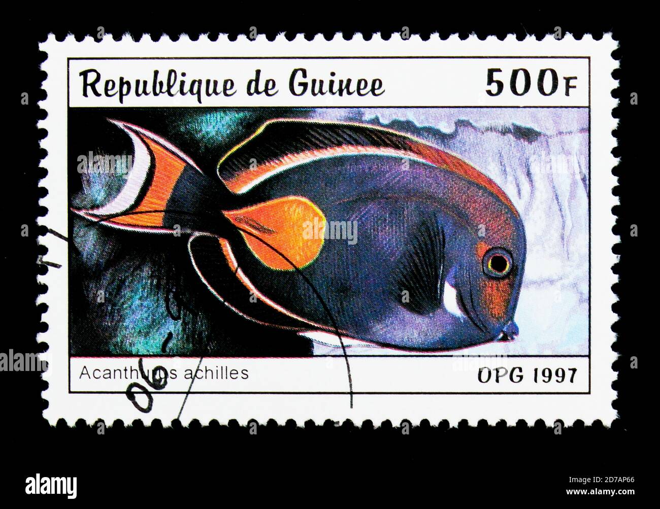 MOSCOW, RUSSIA - NOVEMBER 26, 2017: A stamp printed in Guinea shows Achilles Tang (Acanthurus achilles), Fishes serie, circa 1997 Stock Photo