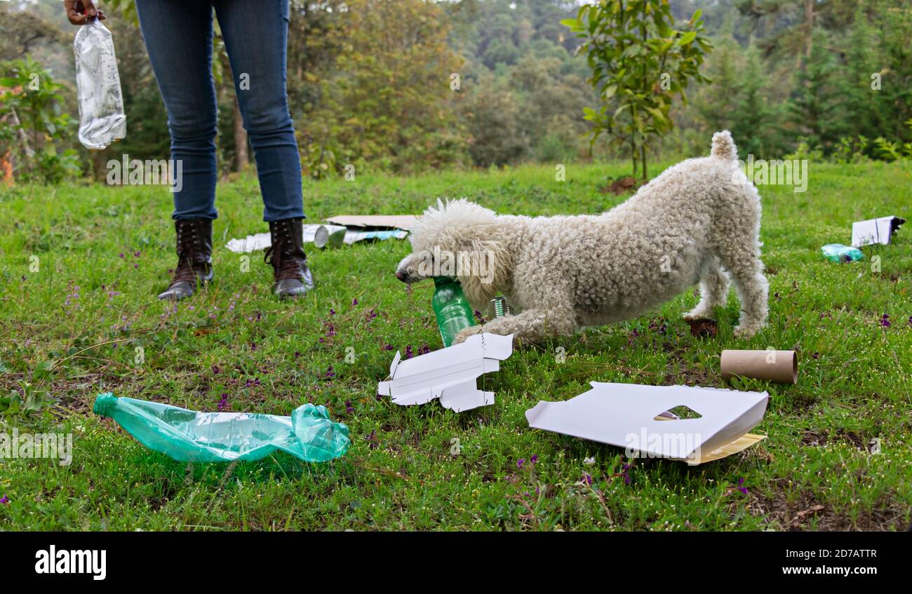 Dog trash mouth hires stock photography and images Alamy