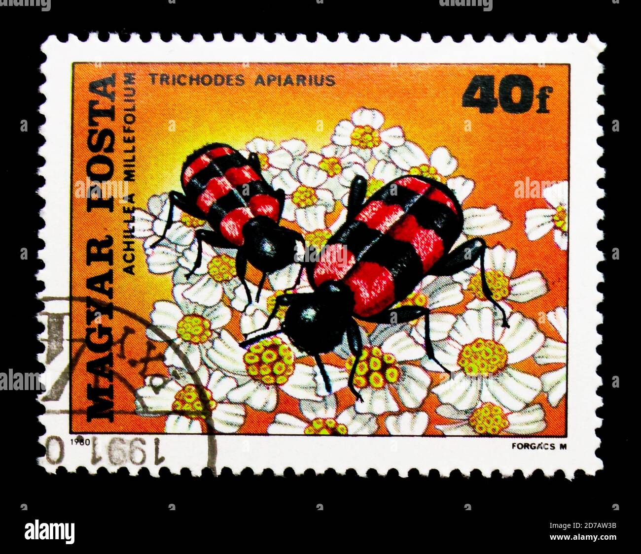 MOSCOW, RUSSIA - NOVEMBER 26, 2017: A stamp printed in Hungary shows European Beewolf (Trichodes apiarius) and Common Yarrow (Achillea Millefolium), I Stock Photo