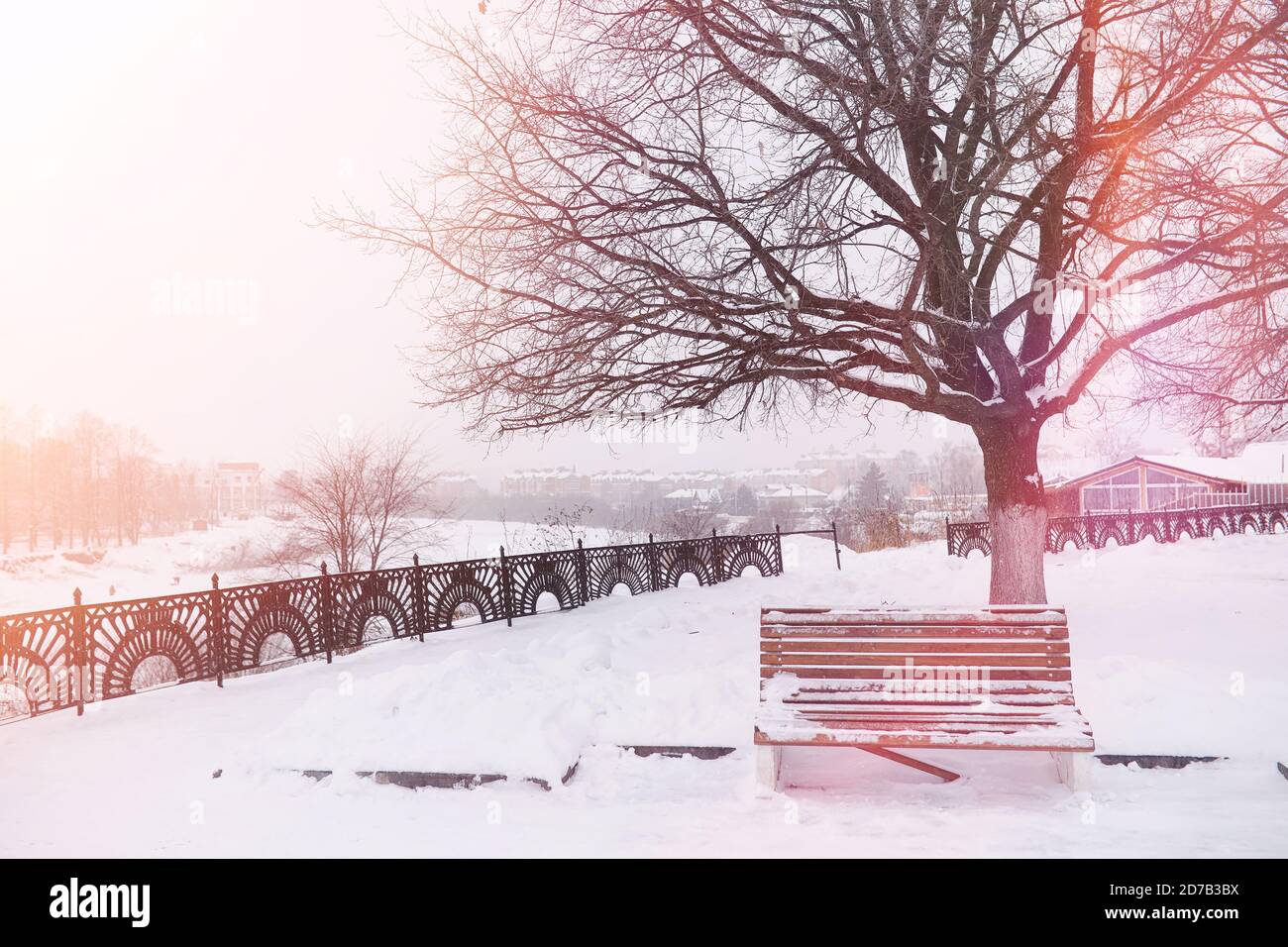 Winter city landscape. Winter park covered with snow. A bench under a ...