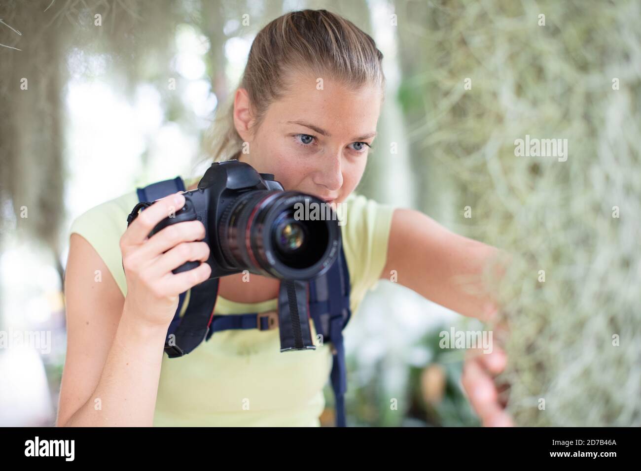 young woman taking photos in the forest with a camera Stock Photo - Alamy
