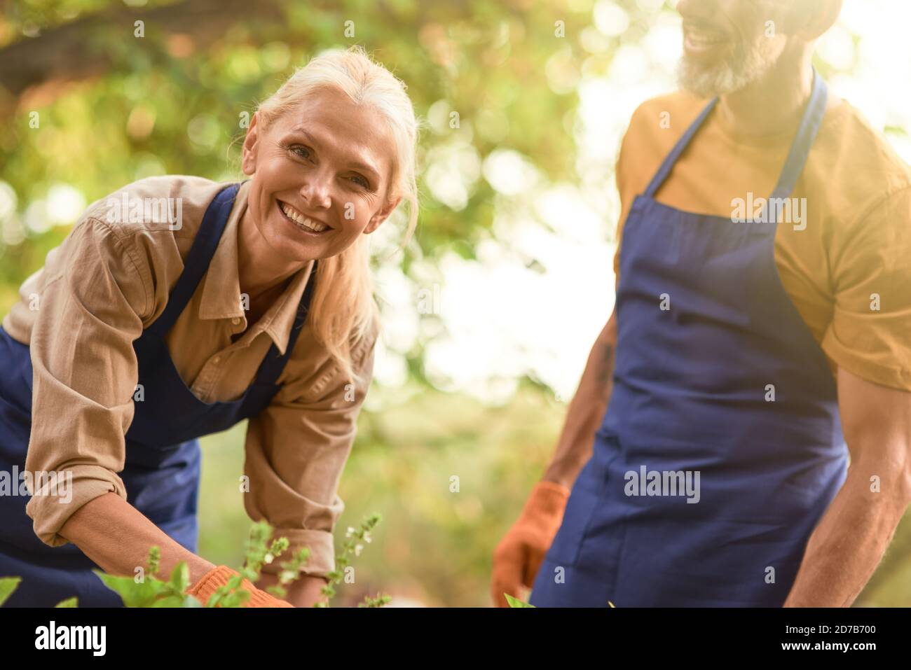 Smiling middle aged caucasian woman working in garden Stock Photo - Alamy