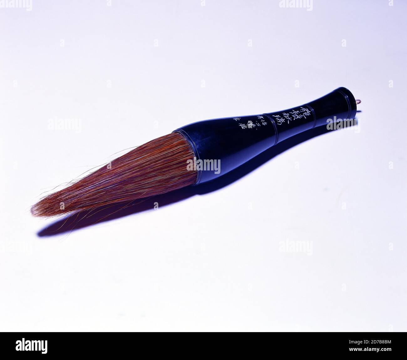 Cosmetics professional female  brush for makeup and eyelash isolated on white background, Concept of cosmetics and Make up concept Industries tools... Stock Photo