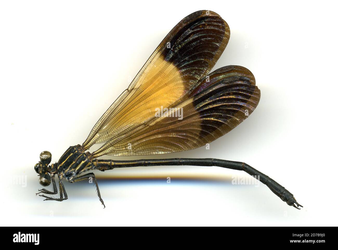 Dpto. Madre de Dios, Erika Hostel, Rio Alto Madre de Dios, across from