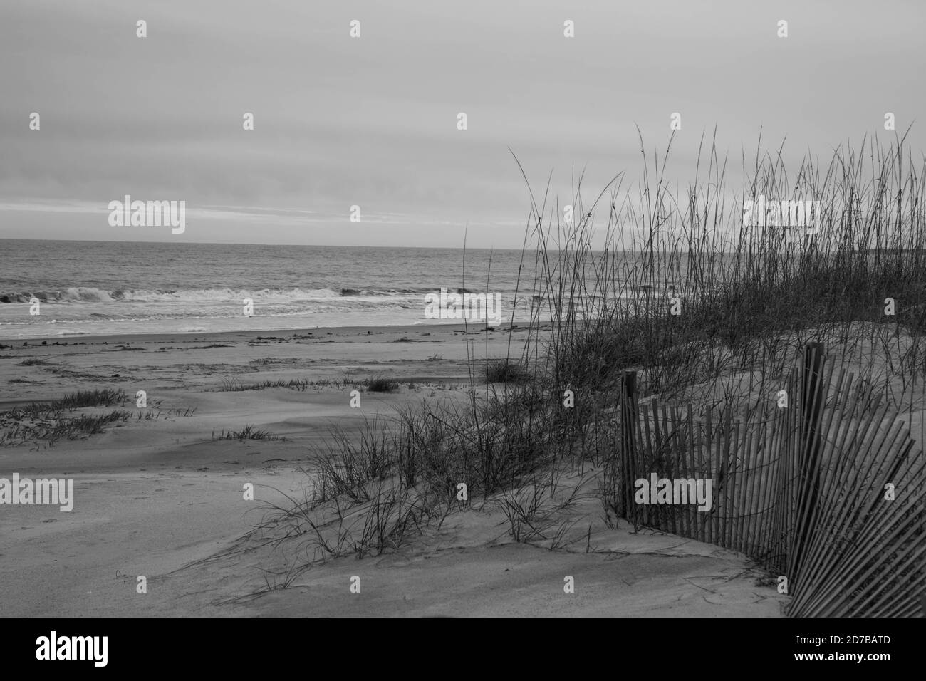 Ocean Seashore in Black and White Stock Photo - Alamy