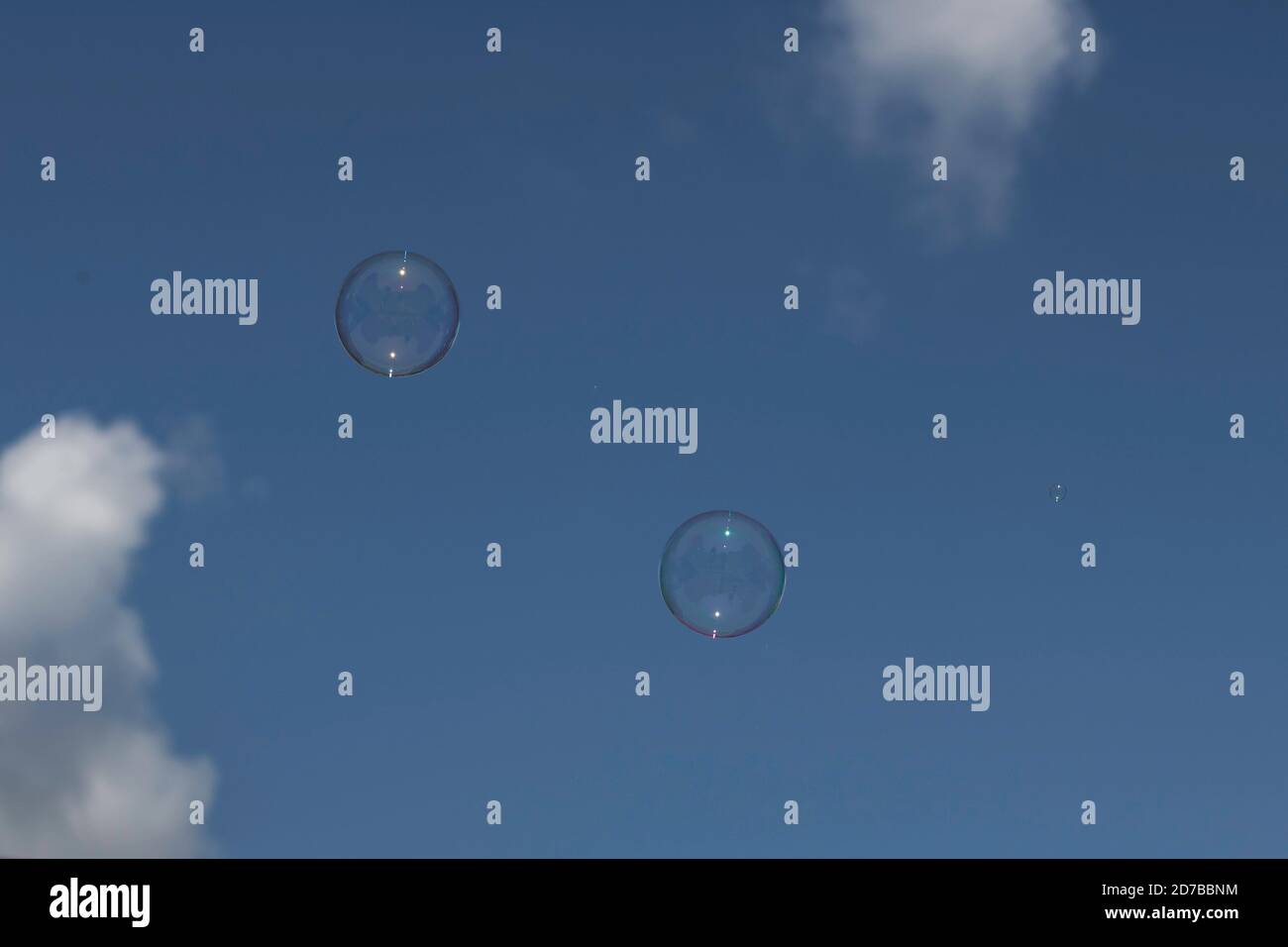 Soap bubbles floating in the sky Stock Photo - Alamy