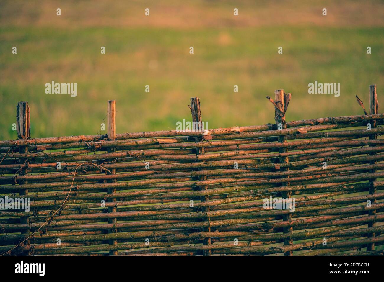 Fence wicker from the vine, texture, background. Wicker vine fence