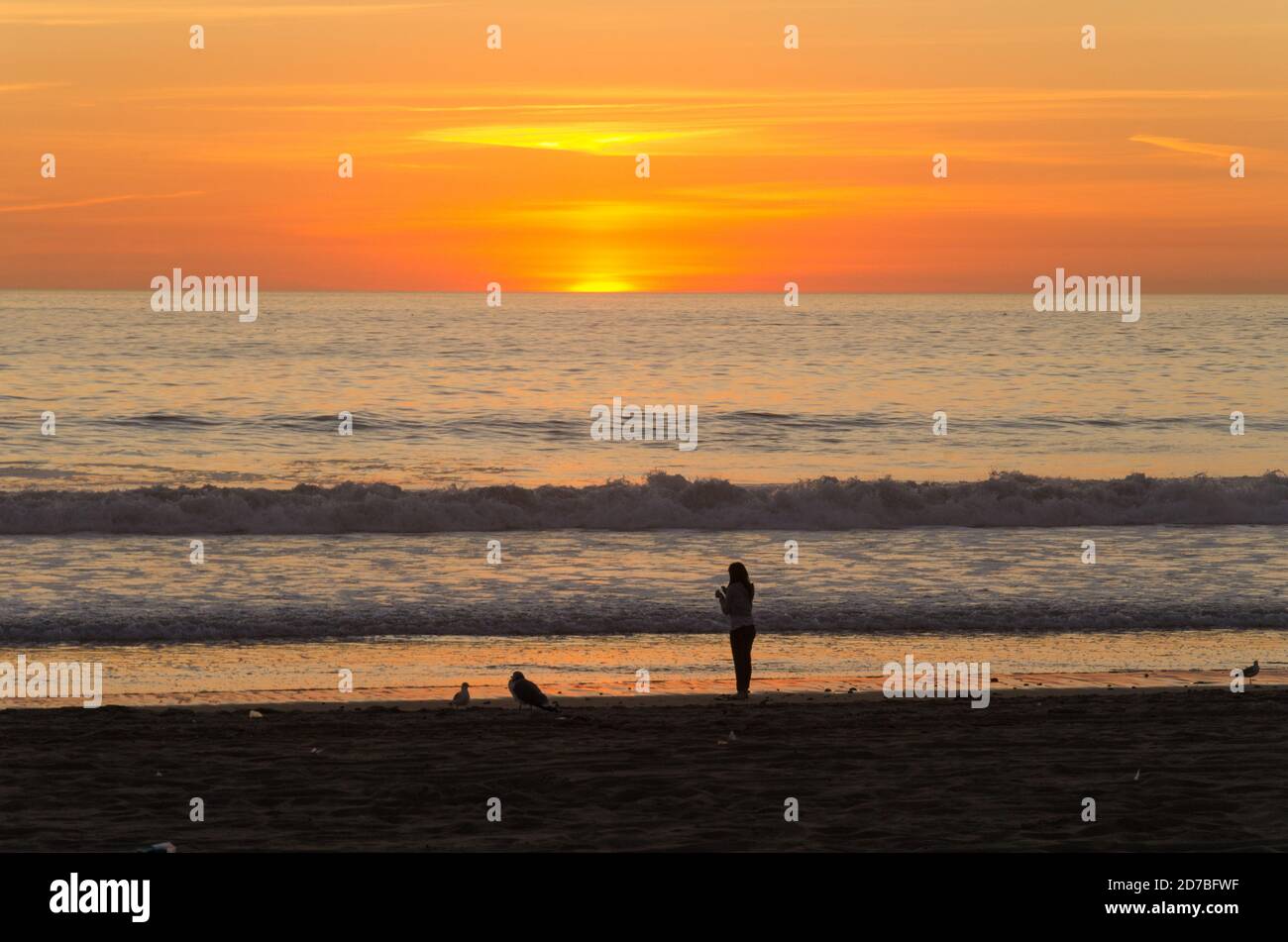 Sunset over the Pacific Ocean in Venice Beach, CA. Photo by Liz Roll Stock Photo