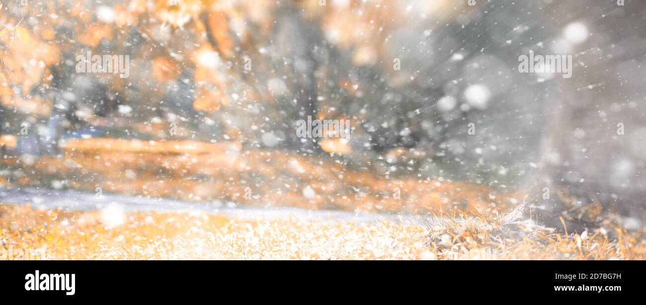 Background autumn park in the first snow Stock Photo - Alamy
