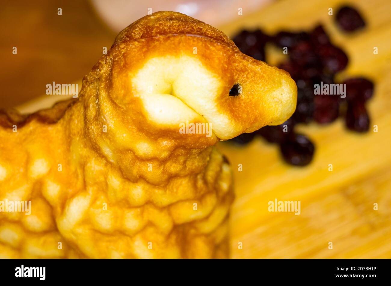 preparation of treats for traditional Orthodox Christmas - handmade baked cookies in the form of lambkin and fruits, cranberries Stock Photo