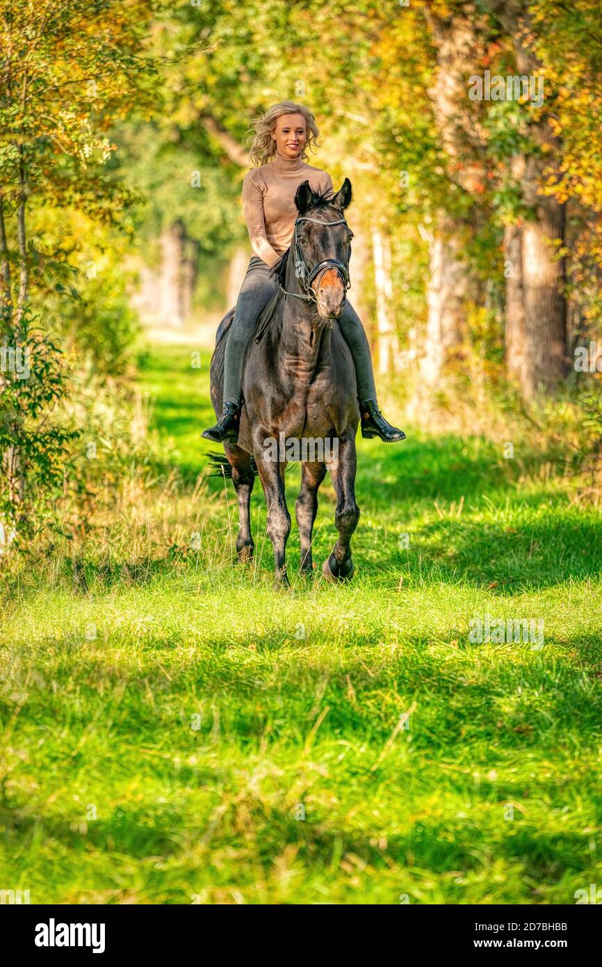 Beautiful blonde female horse rider on a horse without sadle, in the woods in the setting sun