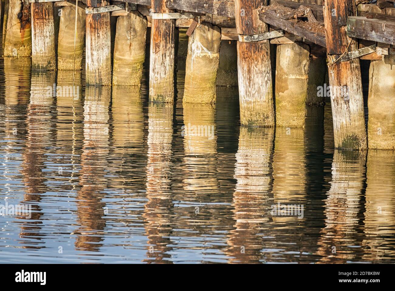 Wooden dock pilings reflecting off the water. San Diego, CA, USA Stock