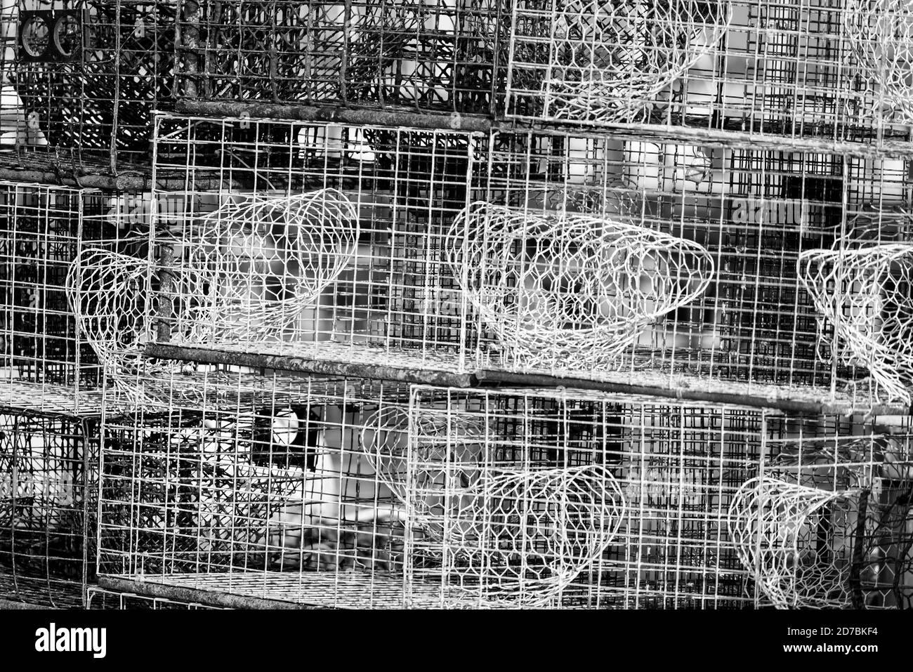 Commercial fishing equipment. Close up of traps used to catch