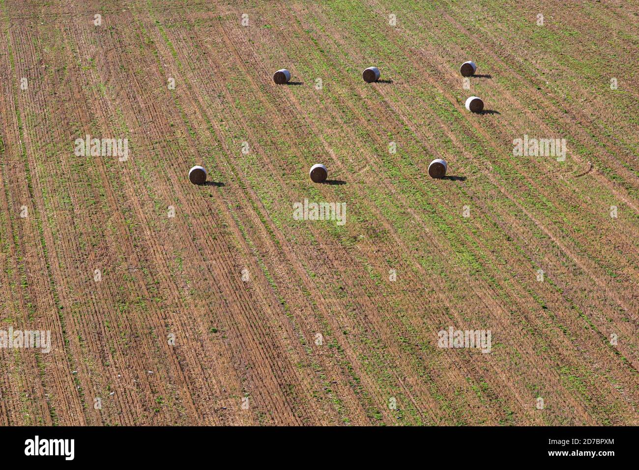 Looking down on hay bales in a field in Sussex, in the late summer ...