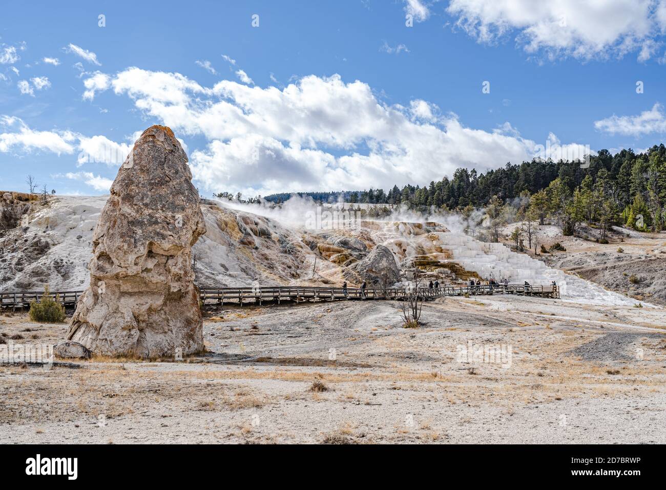 Liberty Cap, dormant hot spring with cascading rock formations at Mammoth Hot Springs in Yellowstone National Park, Wyoming Stock Photo