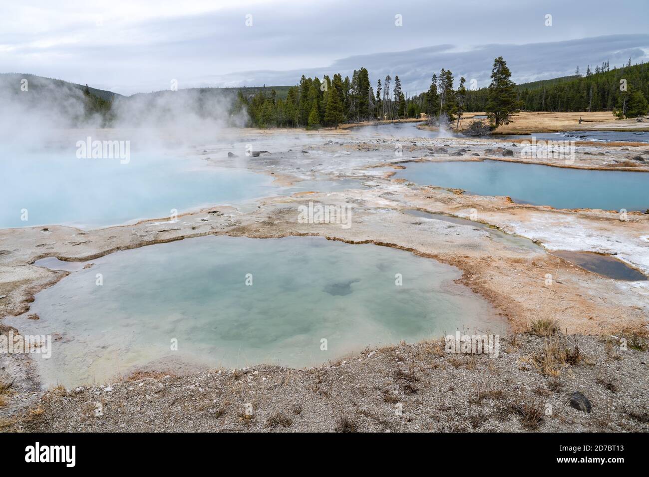 Blue hot spring pools at Biscuit Basin in Yellowstone National Park, Wyoming Stock Photo