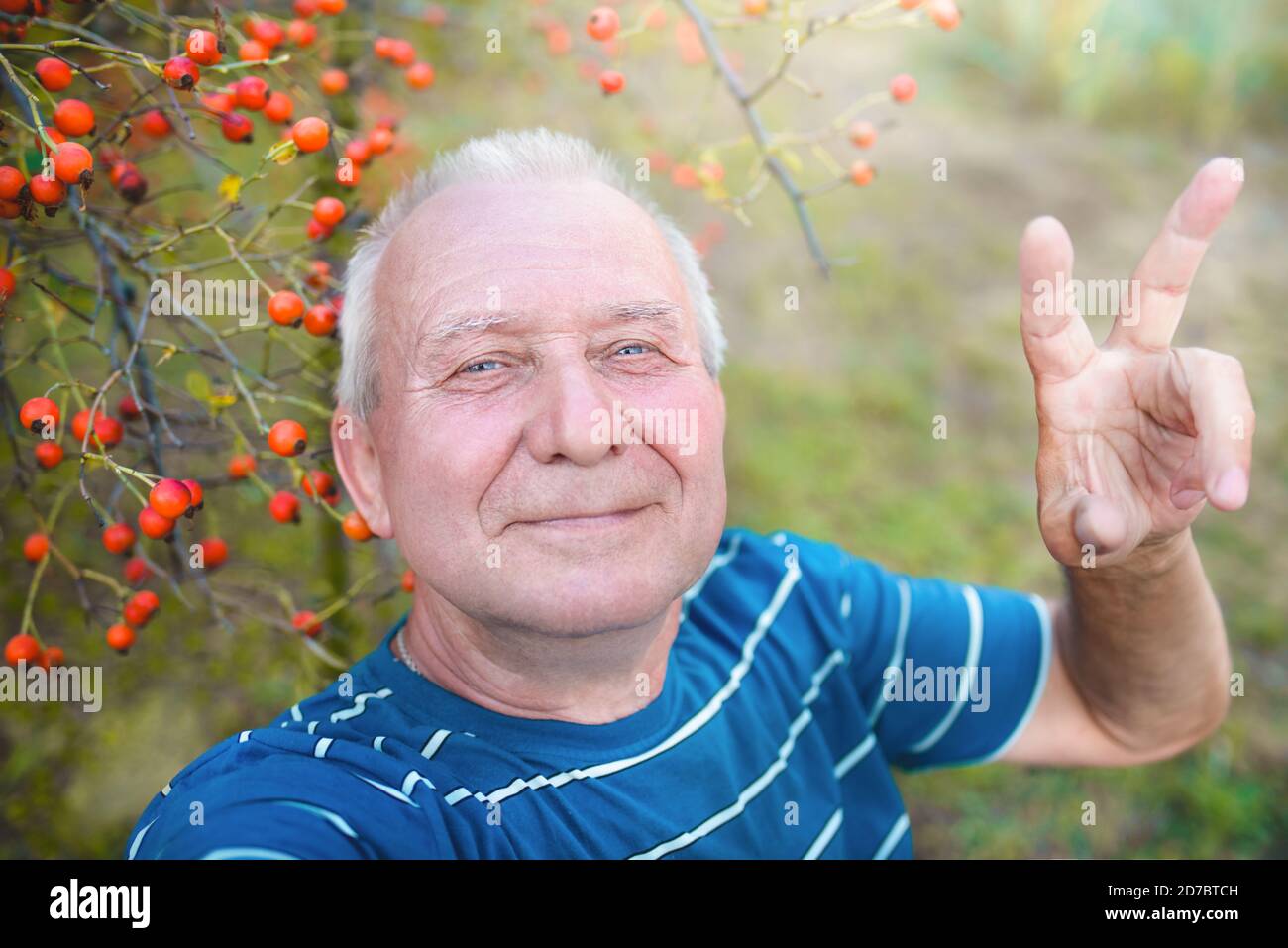 positive retired grandfather, makes selfie with a smartphone in the park. an elderly man walks in nature. Stock Photo