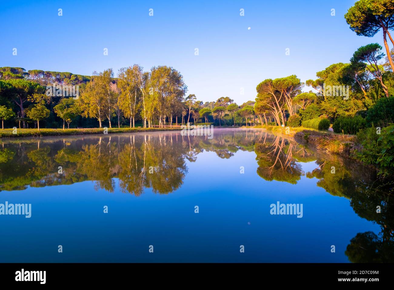 Trees in the Villa Ada park in Rome Italy reflecting on lake's water. Reflected sky has a strong blue azure color while autumn colors start to show on Stock Photo