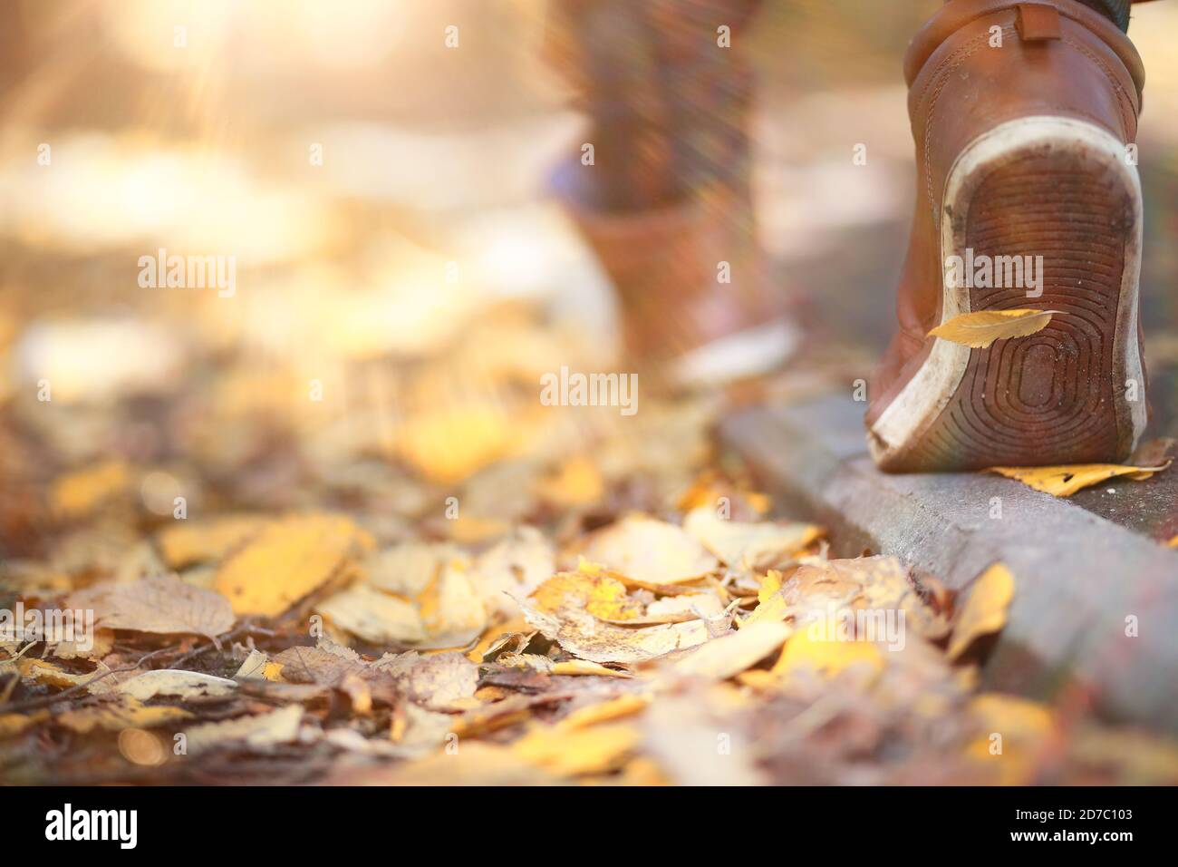 Autumn Park man walking along a path foliage Stock Photo - Alamy