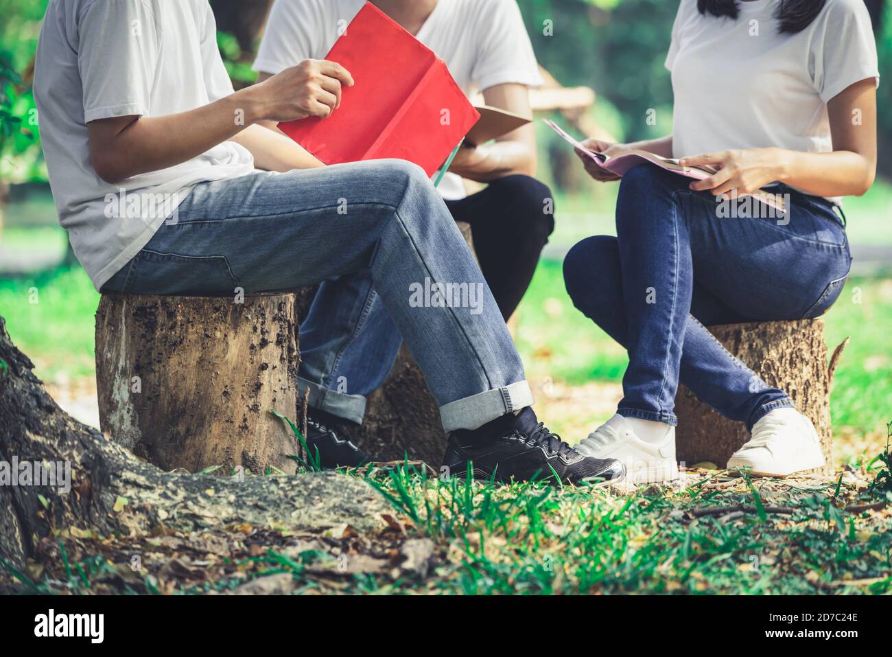 Team of young students studying in a group project in the park of university or school. Happy learning, community teamwork and youth friendship Stock Photo