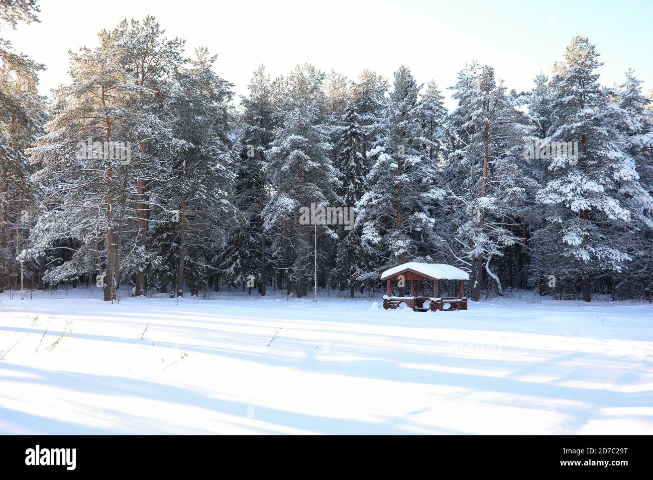 wooden gazebo in forest in winter sunny day Stock Photo - Alamy