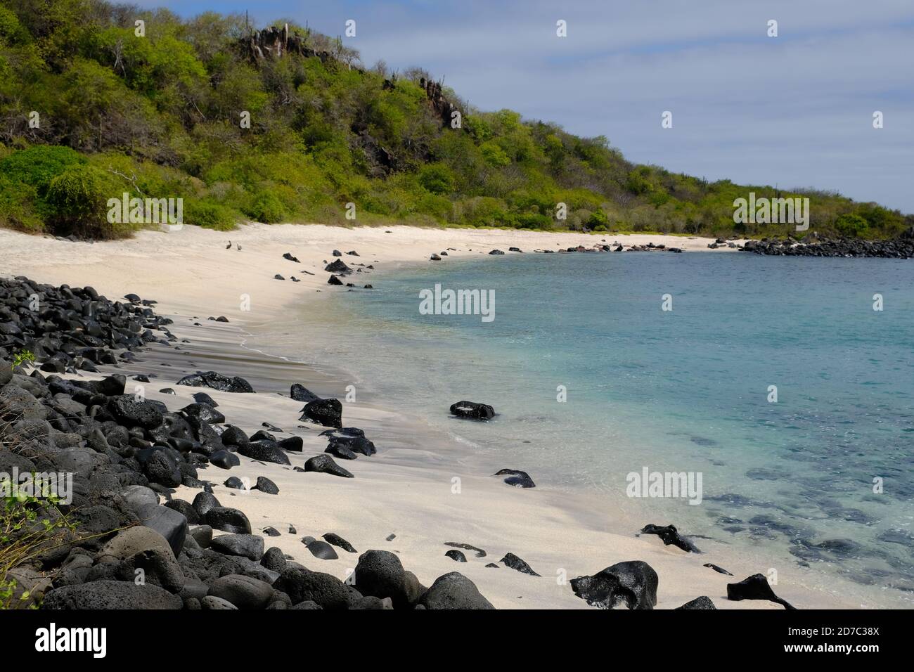 Galapagos islands flora hi-res stock photography and images - Alamy