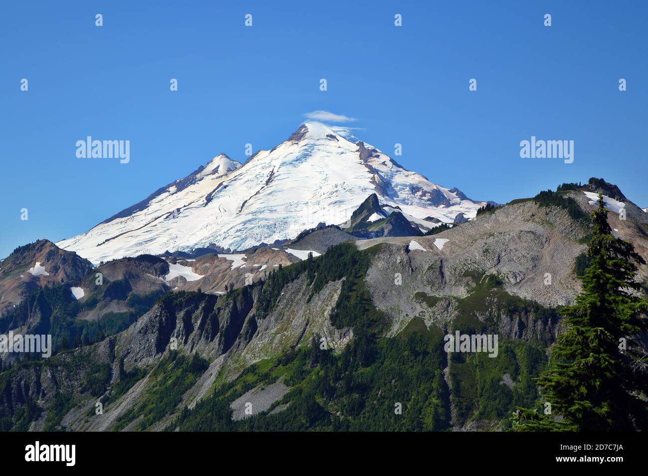 Mount Baker View from Artist Point in Summer Stock Photo - Alamy