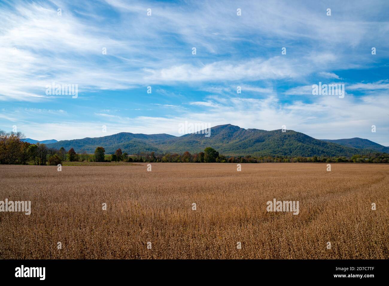 Old rag mountain hi-res stock photography and images - Alamy