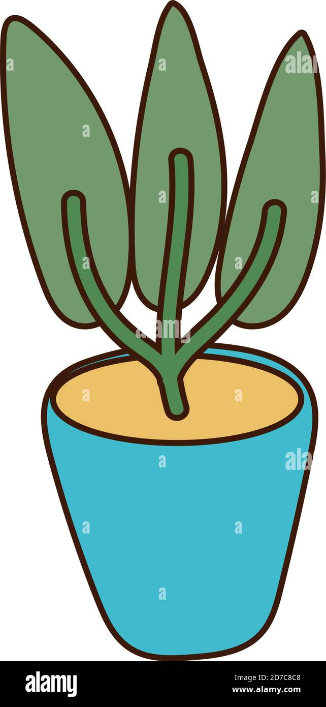 houseplant in ceramic pot isolated icon vector illustration design ...